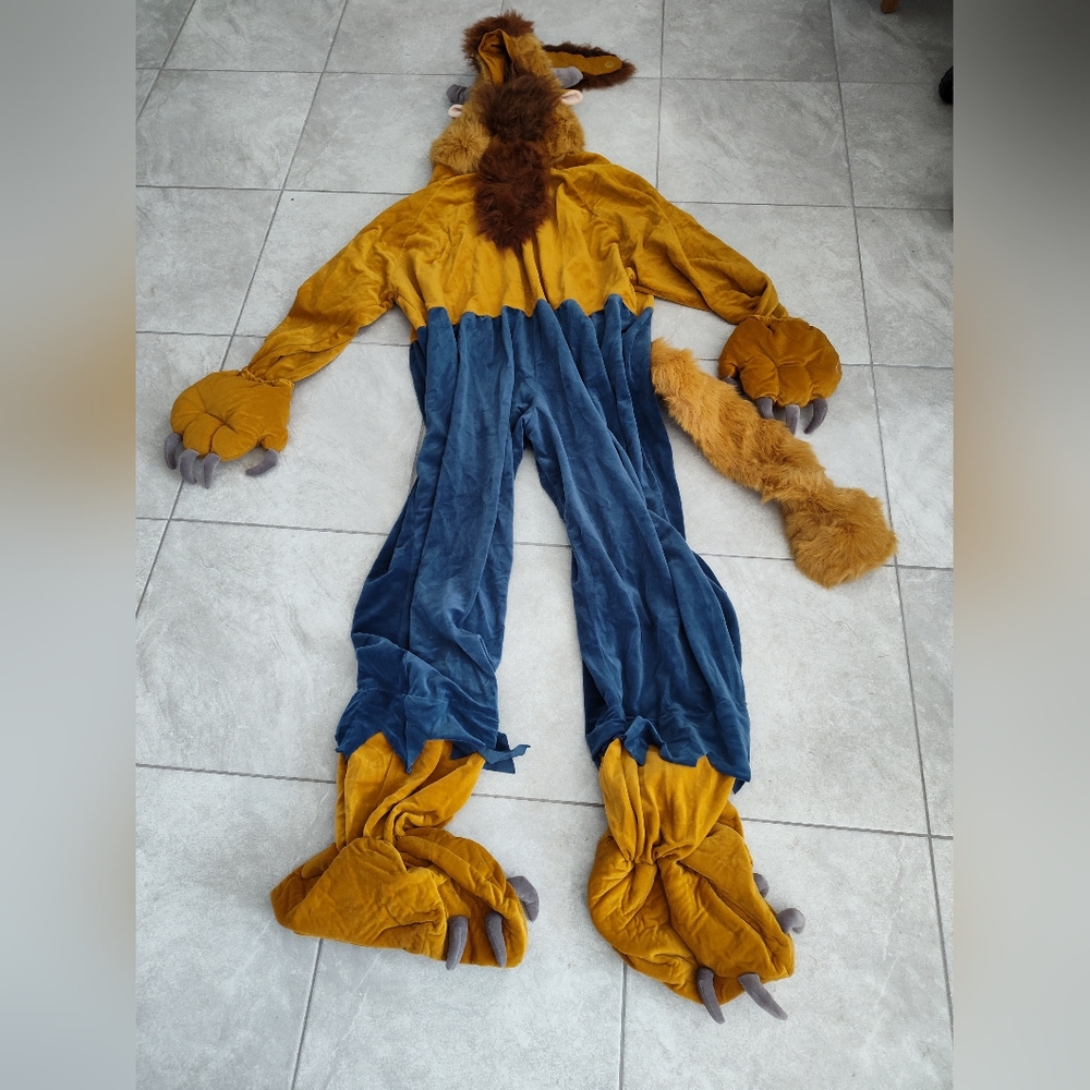 Costume
